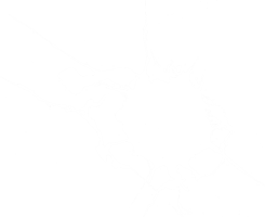 Milk Splat